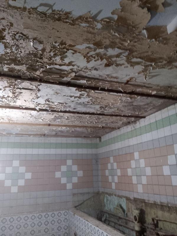 photo 4 2025 05 05 14 44 25