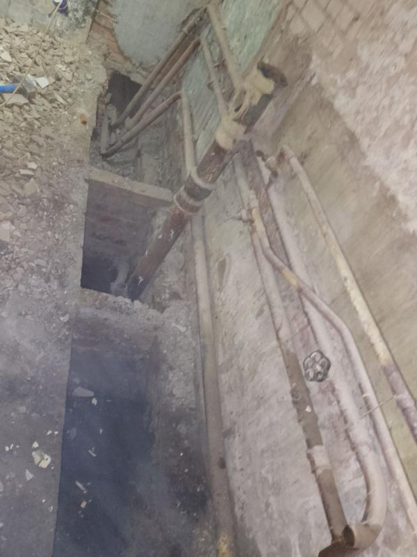 photo 7 2025 05 16 09 07 35